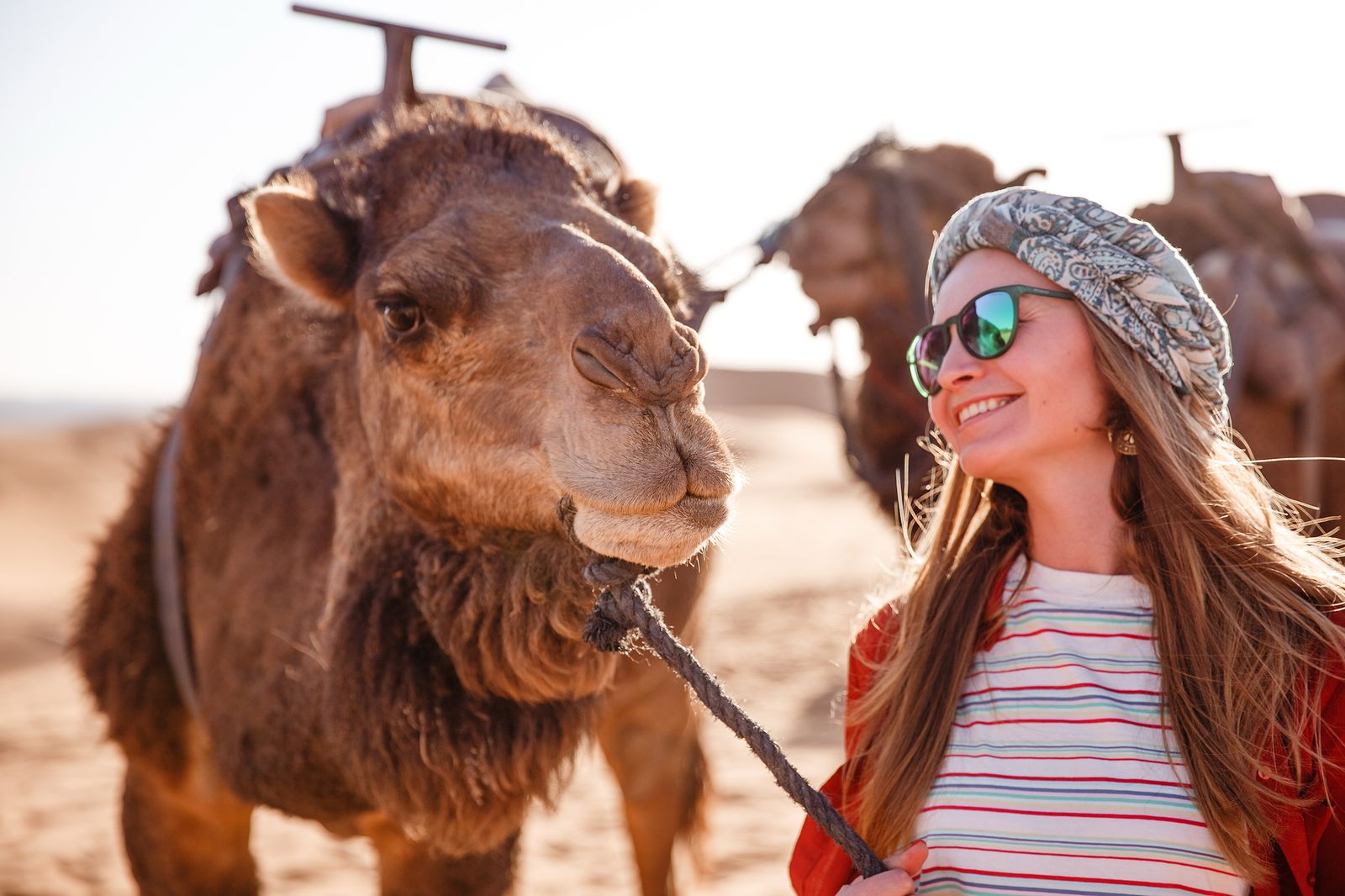 Ait Ben Haddou & Ouarzazate Day Trip 5