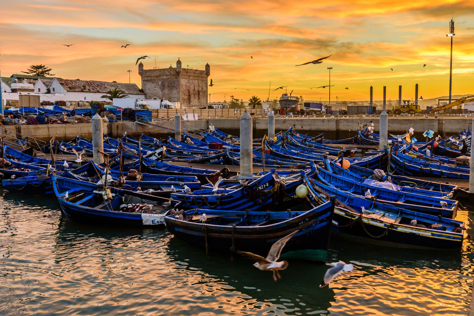 Essaouira Day Trip 2