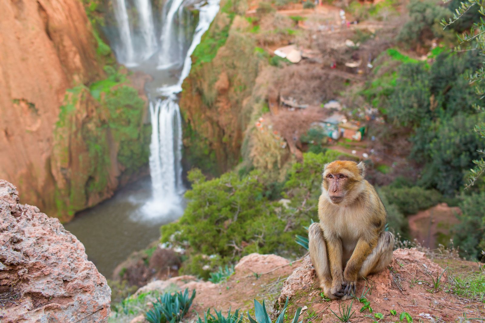 ouzoud-waterfalls-day-trip 5