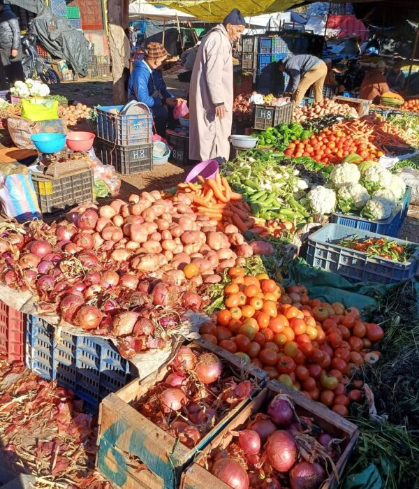 High Atlas Mountains day trip faq Day Trip to High Atlas Mountains - faq